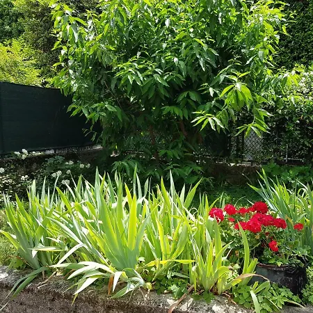 Casa Irina 公寓 加尔达湖滨